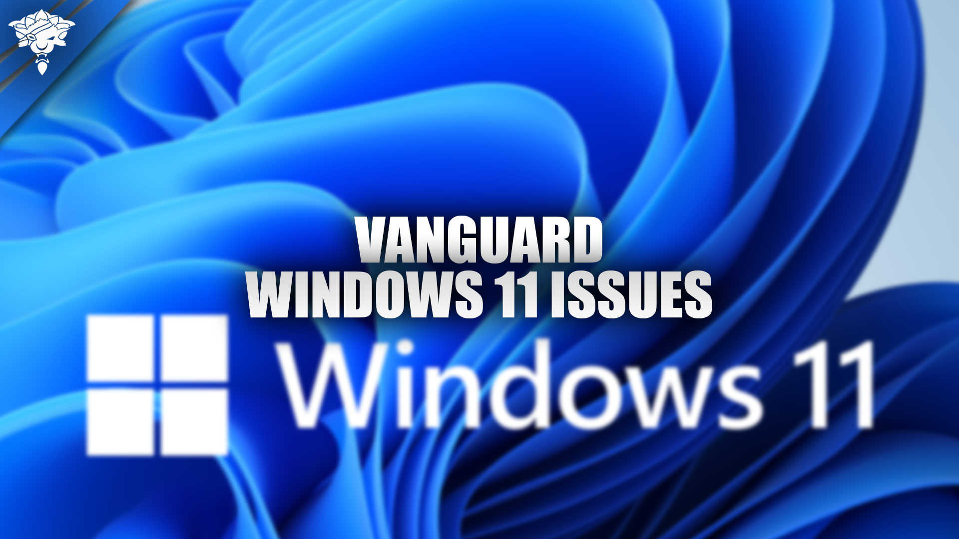 Vanguard Win 11 Issues