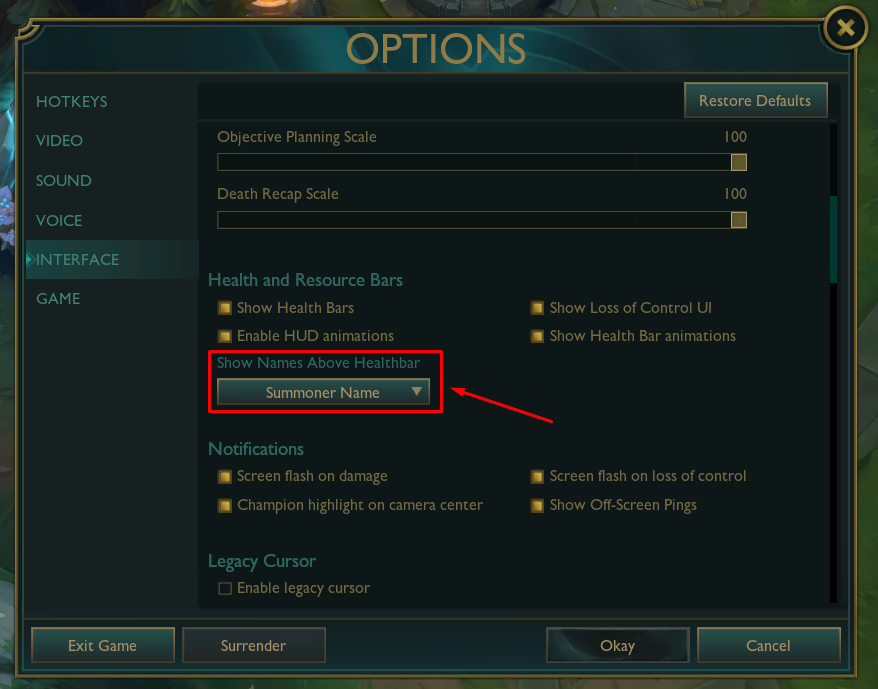 Show Summoner Names in Settings